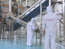 2025年的第一個(gè)月，承德亞歐果仁有限公司在山杏產(chǎn)業(yè)的道路上持續(xù)奮進(jìn)，展現(xiàn)出蓬勃的發(fā)展活力。